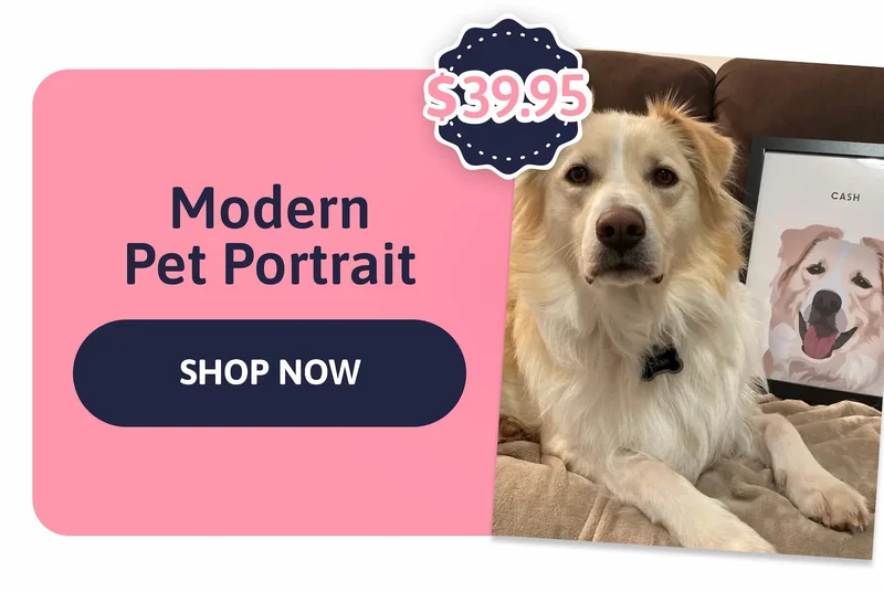 3. Modern Pet Portrait $39.95