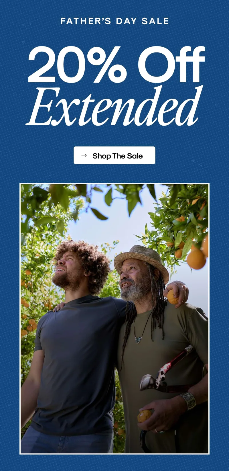 20% Off Extended
