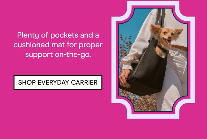 Plenty of pockets and a cushioned mat for proper support on-the-go. Shop Everyday Carrier