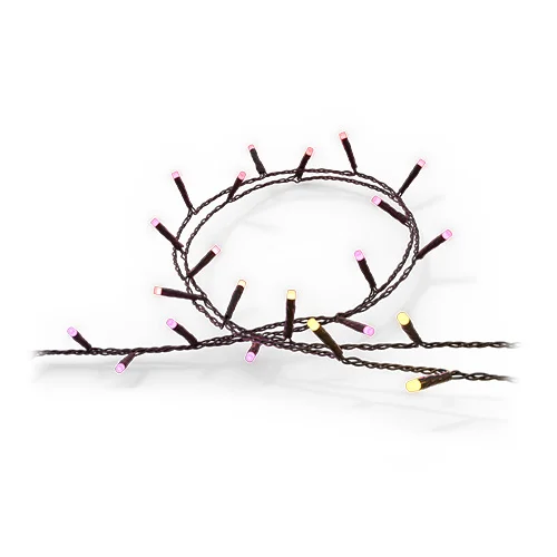 Make every season sparkle with Festavia string lights