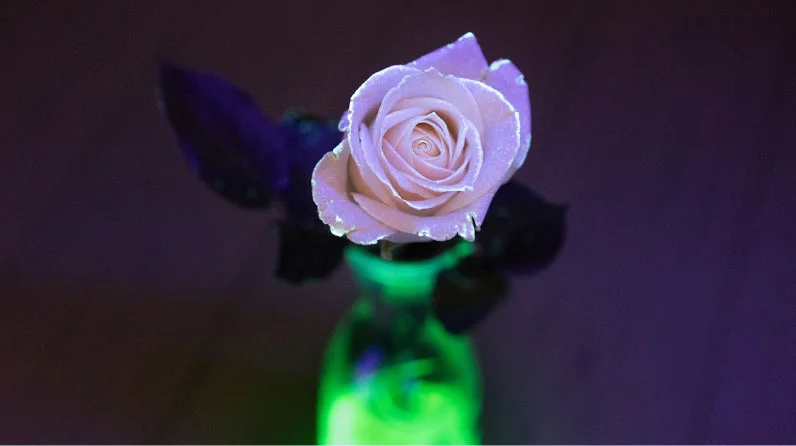 Glow in the Dark Flower
