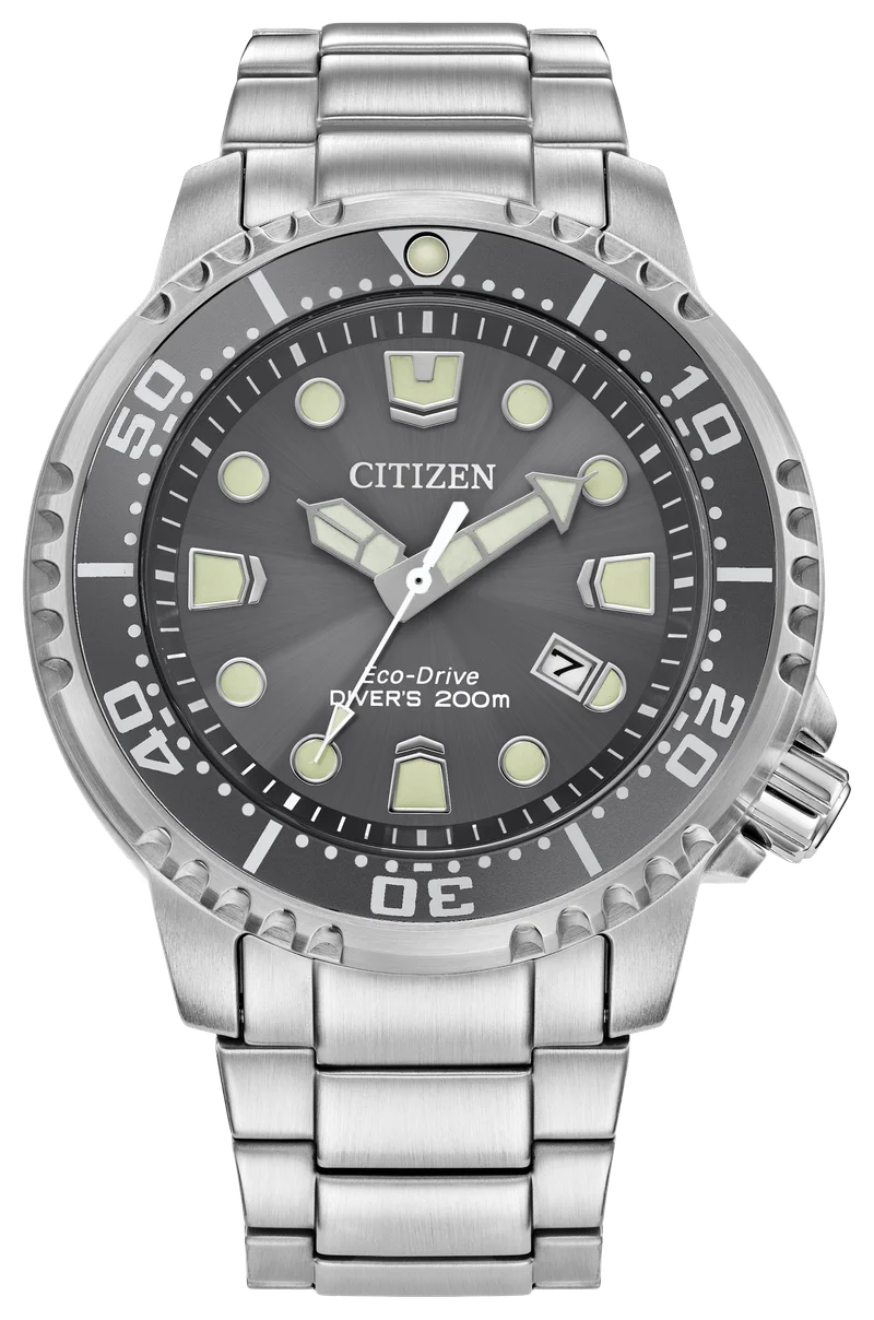 Image of Promaster Dive