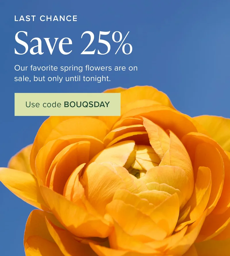 Last Chance to Save 25%! Our favorite spring flowers are on sale, but only until tonight. Use code discount code
