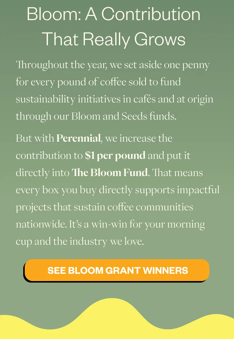 Bloom: A Contribution That Really Grows  Throughout the year, we set aside one penny for every pound of coffee sold to fund sustainability initiatives in cafés and at origin through our Bloom and Seeds funds. But with Perennial, we increase the contribution to $1 per pound and put it directly into The Bloom Fund. That means every box you buy directly supports impactful projects that sustain coffee communities nationwide. It’s a win-win for your morning cup and the industry we love. CTA: READ ABOUT OUR BLOOM GRANT WINNERS