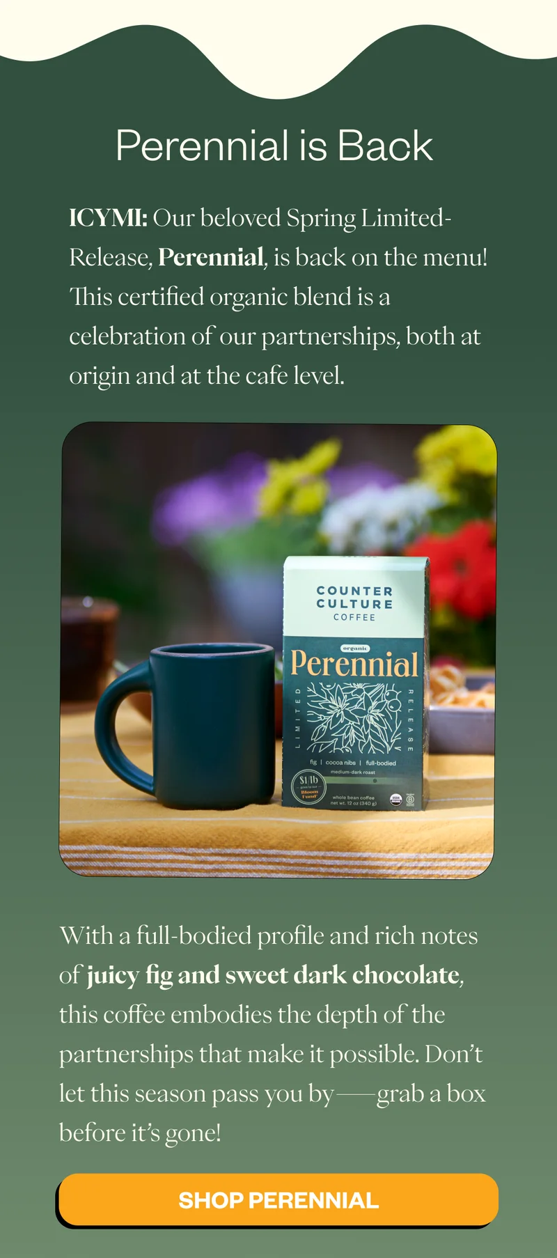Perennial is Back  ICYMI: Our beloved Spring Limited-Release, Perennial, is back on the menu! This certified organic blend is a celebration of our partnerships, both at origin and at the cafe level. With a full-bodied profile and rich notes of juicy fig and sweet dark chocolate, this coffee embodies the depth of the partnerships that make it possible. Don’t let this season pass you by—grab a box before it’s gone! CTA: SHOP PERENNIAL