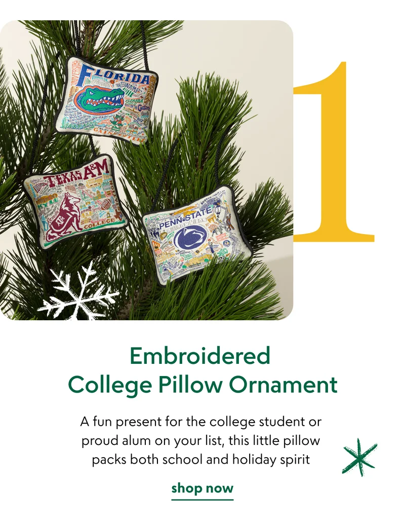 Embroidered College Pillow Ornament