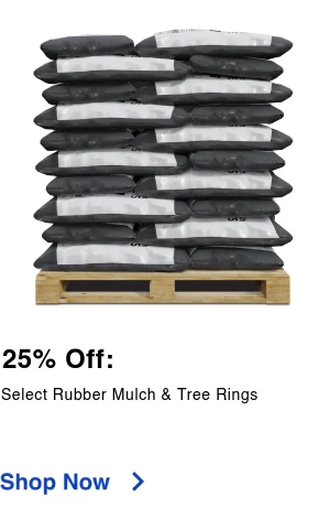 Display images to show real-time content