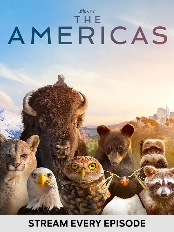 The Americas - Stream Every Episode