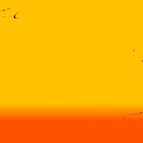 The letters ‘SFF’ displayed on a yellow-to-orange gradient
background.