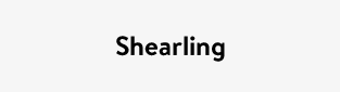 Shearling