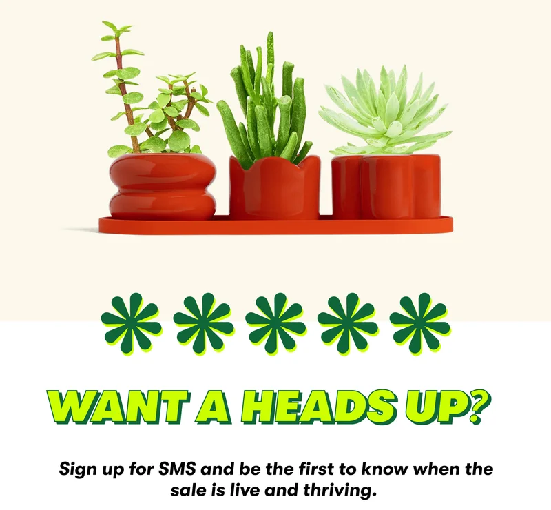 Want a Heads Up?&nbsp;&nbsp;  Sign up for SMS and be the first to know when the sale is live and thriving.