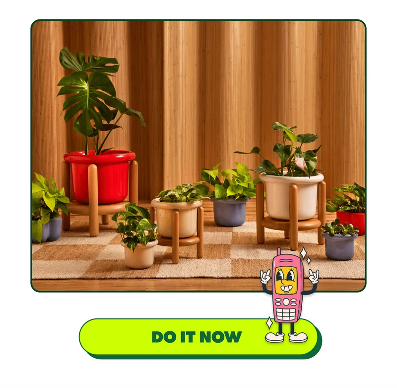 [DO IT NOW]