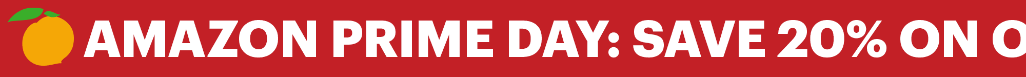 AMAZON PRIME DAY: SAVE 20% ON OUR BESTSELLING BUNDLES