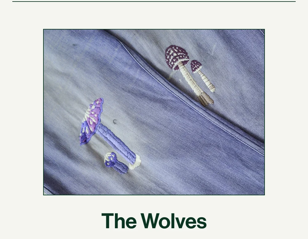 The Wolves