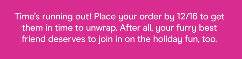 Time’s running out! Place your order by 12/16 to get them in time to unwrap. After all, your furry best friend deserves to join in on the holiday fun, too.