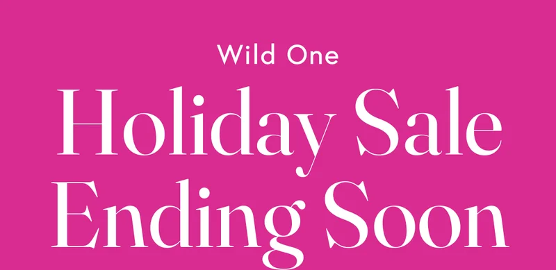 Holiday Sale Ending Soon