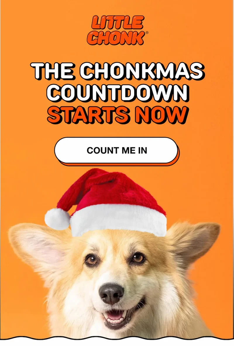 THE CHONKMAS COUNTDOWN STARTS NOW