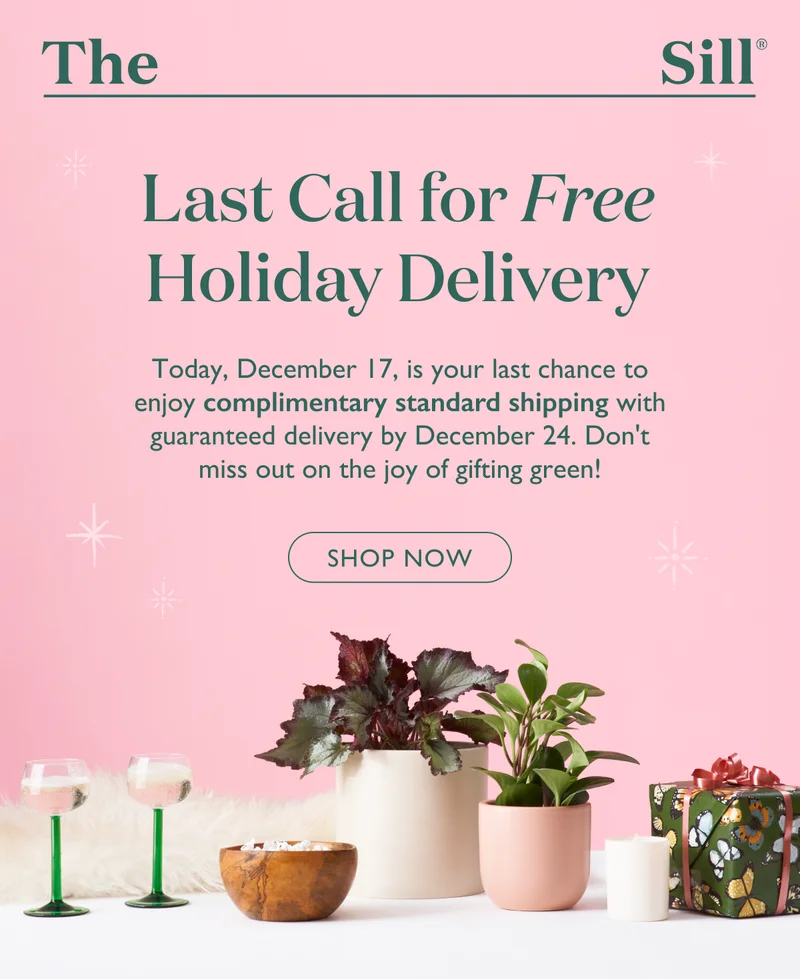 Today, December 17, is your last chance to enjoy complimentary standard shipping with guaranteed delivery by December 24. Don't miss out on the joy of gifting green!