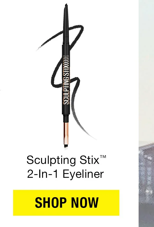 Sculpting Stix 2-in-1 Eyeliner