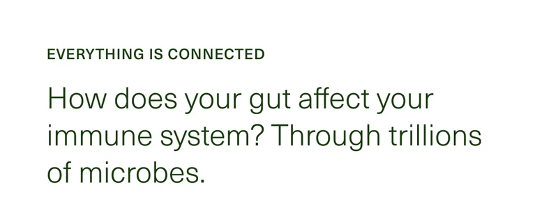 EVERYTHING IS CONNECTED | How does your gut affect your immune system? Through trillions of microbes.