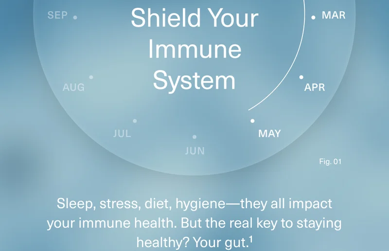 Shield Your Immune System | Sleep, stress, diet, hygiene—they all impact your immune health. But the real key to staying healthy? Your gut.¹