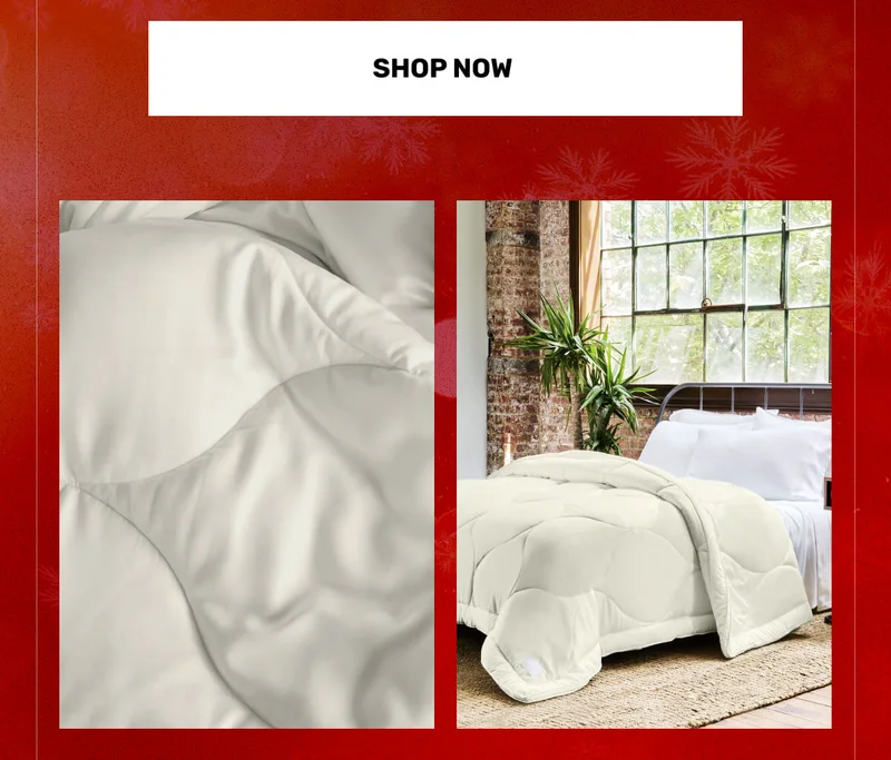 SHOP NOW