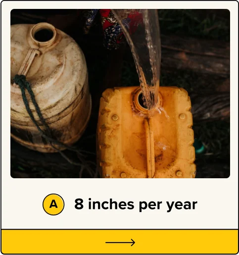 A. 8 inches per year