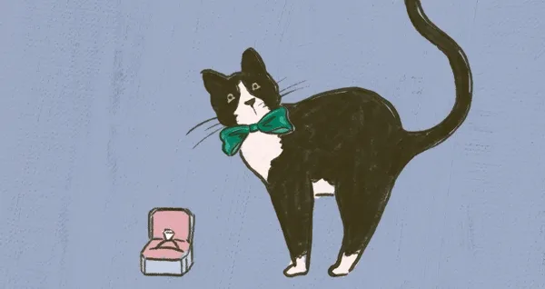 Cat illustration