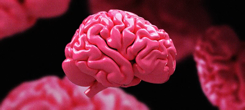 Change your brain, change your life