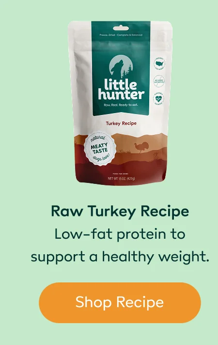 Raw Turkey recipe