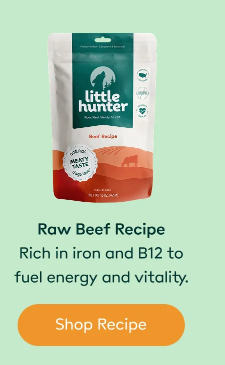 Raw Beef Recipe