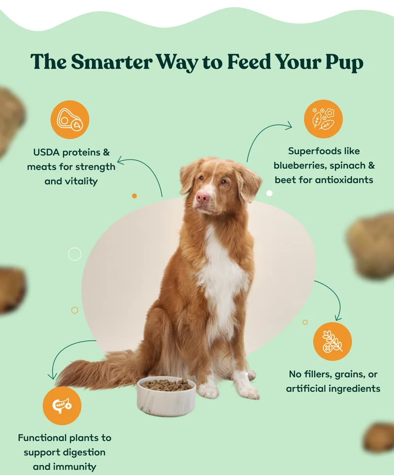 The smarter way to feed your pup