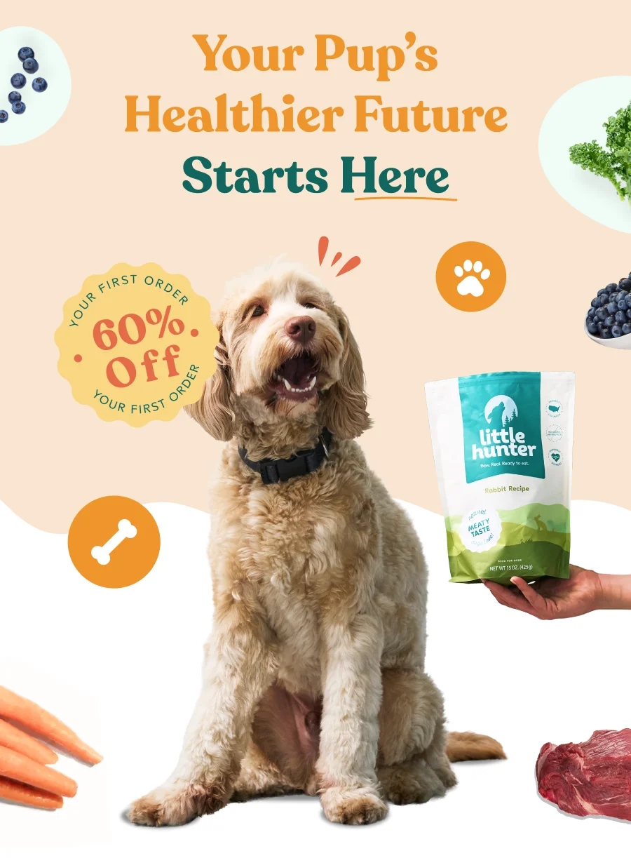 Your Pup’s Healthier Future Starts Here