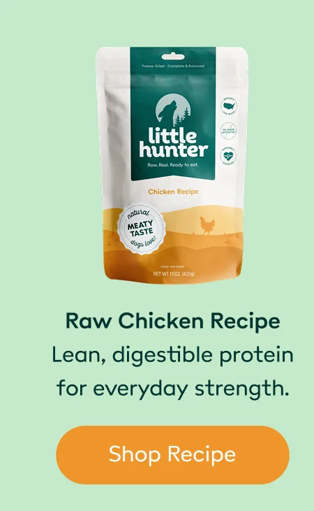 Raw Chicken Recipe