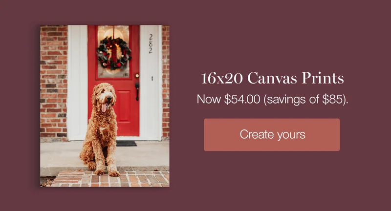 16x20 Canvas Prints. Now $54.00 (savings of $85).