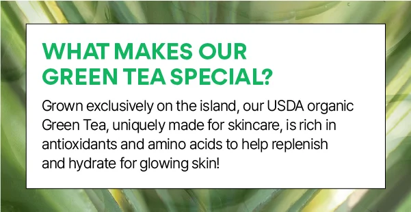 WHAT MAKES OUR GREEN TEA SPECIAL?