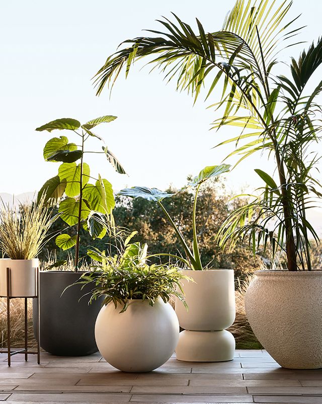 add finishing touches in full bloom