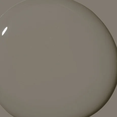 Dirty Chai paint color