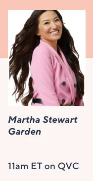 martha stewart garden