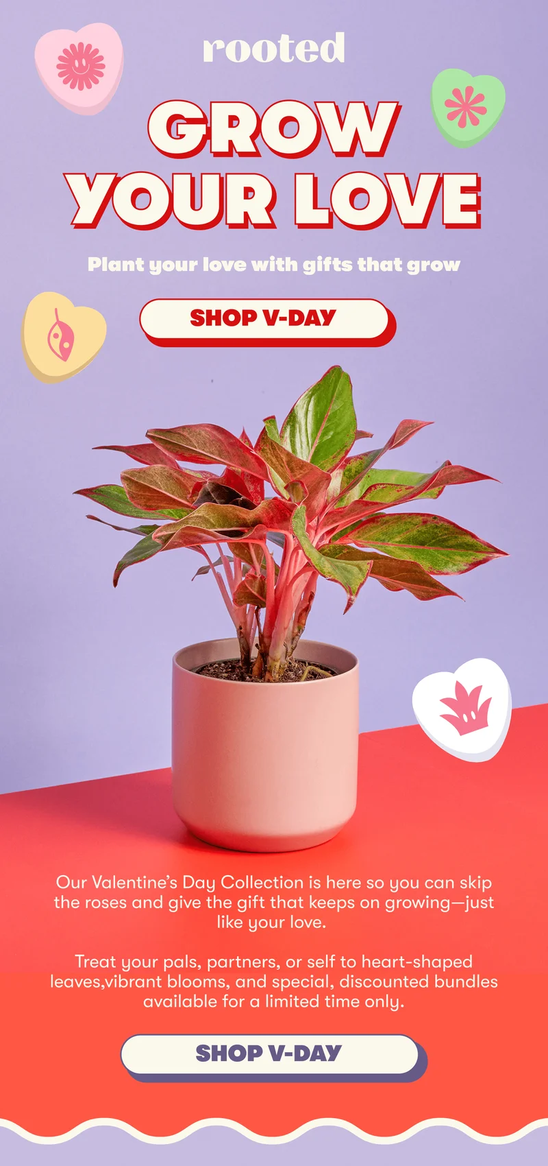 GROW YOUR LOVE | Plant your love with gifts that grow [SHOP V-DAY] Our Valentine's Day Collection is here so you can skip the roses and give the gift that keeps on growing—just like your love.  Treat your pals, partners, or self to heart-shaped leaves,vibrant blooms, and special, discounted bundles available for a limited time only. [SHOP V-DAY]