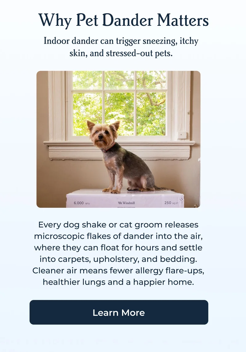 Why Pet Dander Matters | Indoor dander can trigger sneezing, itchy skin, and stressed-out pets.