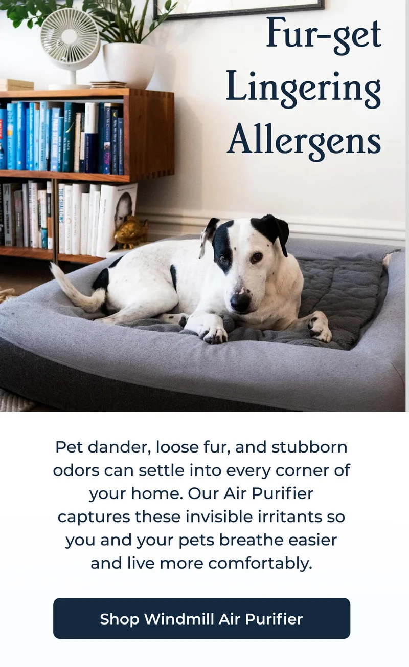 Fur-get Lingering Allergens | Shop Air Purifier