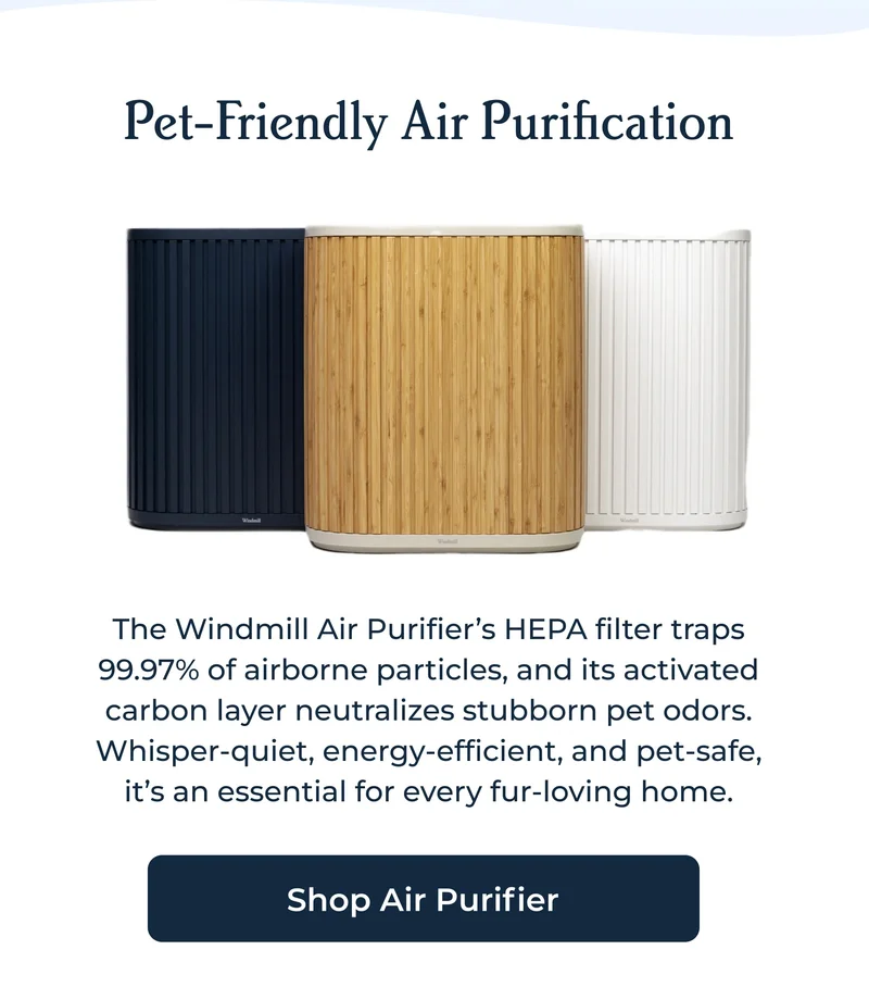 Pet-Friendly Air Purification