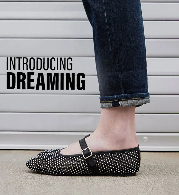 Introducing Dreaming