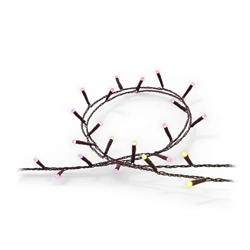 Festavia string lights