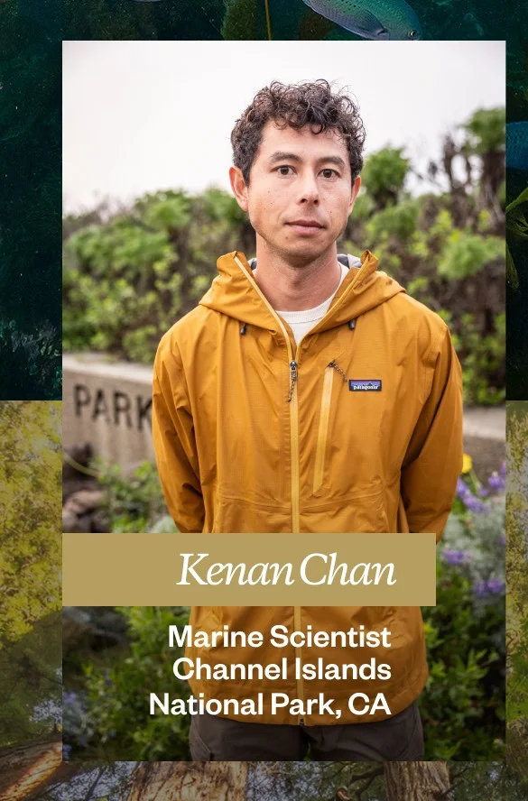 The Marine Scientist