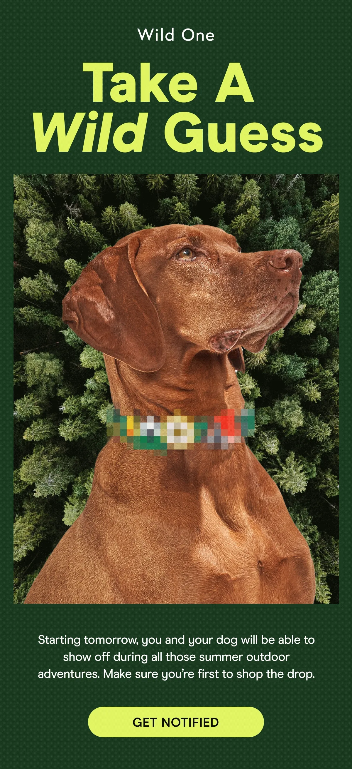 Starting tomorrow, you and your dog will be able to show off during all those summer outdoor adventures. Make sure you’re first to shop the drop.