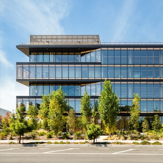 An image of 1265 Borregas, a new Google office in Sunnyvale, California. It’s a modern mass timber office building with trees in front.