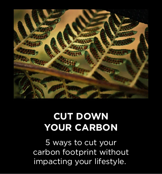cut down ur carbon blog header