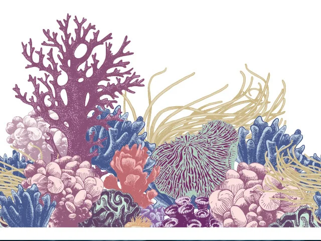 Ocean Day Graphic - Closeup